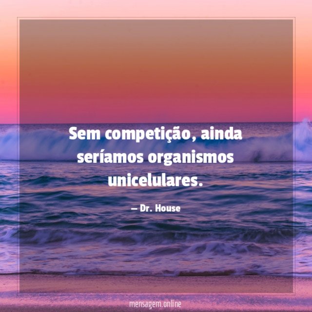 Sem competição