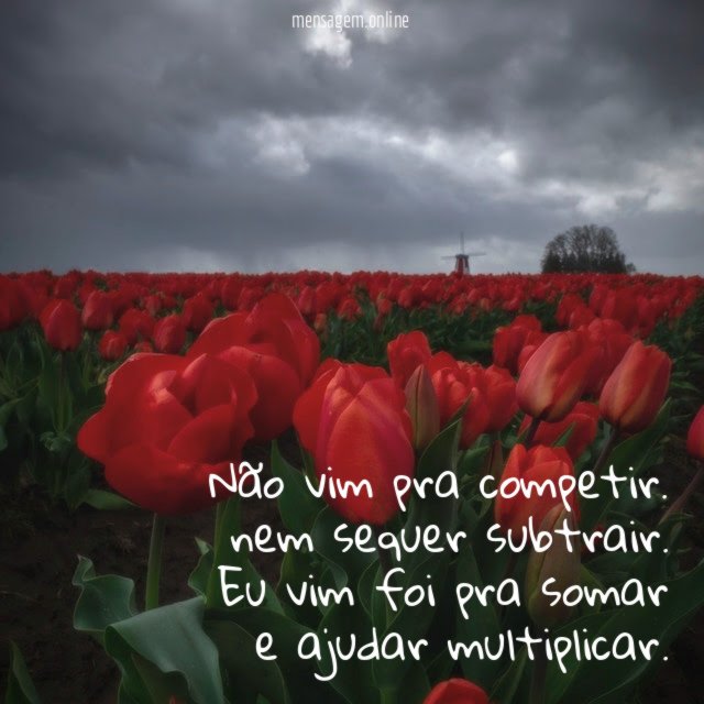 Não vim pra competir