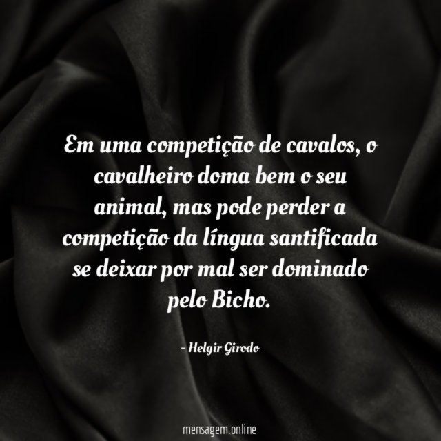 Em uma competição de cavalos