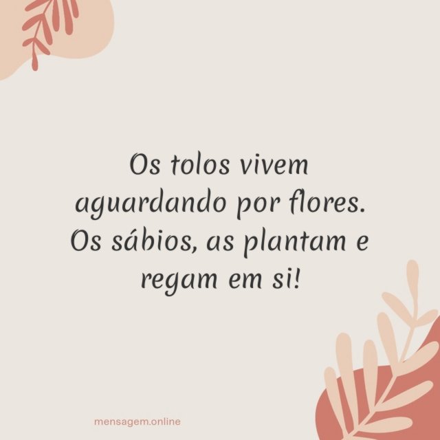 Os tolos vivem aguardando por flores