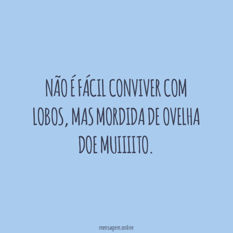 Não é fácil conviver com lobos