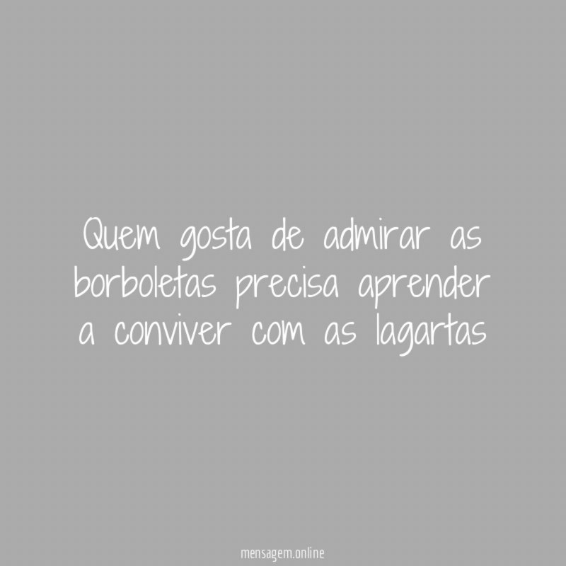 Quem gosta de admirar as borboletas precisa aprender