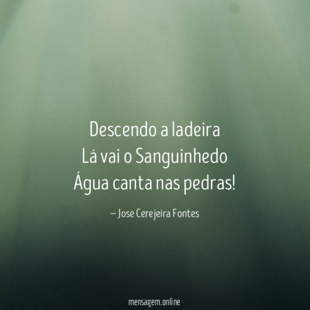 Descendo a ladeira Lá vai o Sanguinhedo Água canta nas pedras