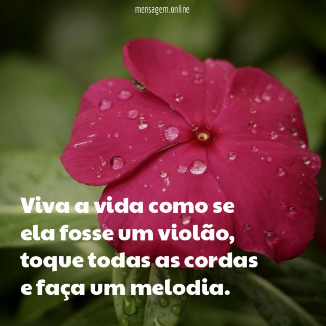 Viva a vida como se ela fosse um violão