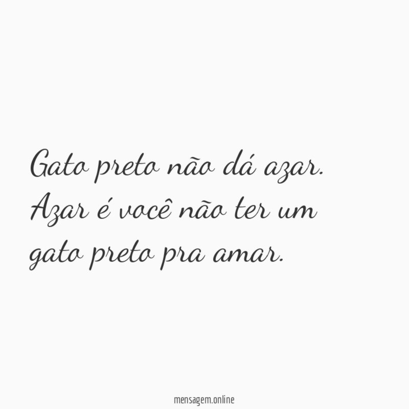Gato preto não dá azar