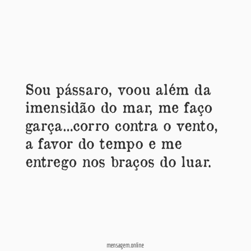 Sou pássaro