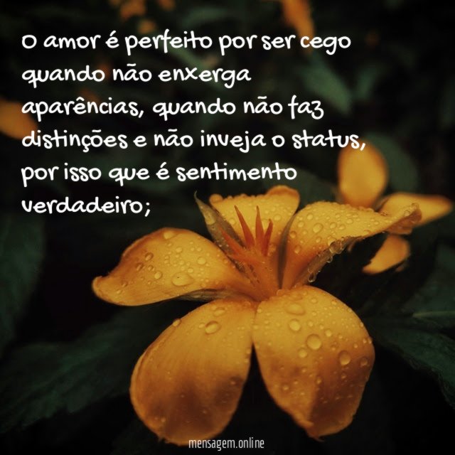O amor é perfeito por ser cego quando não enxerga aparências