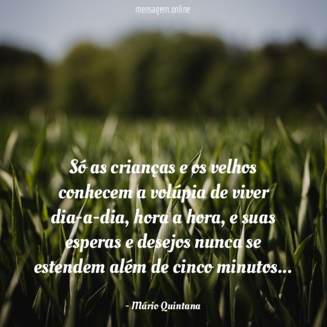 Só as crianças e os velhos conhecem a