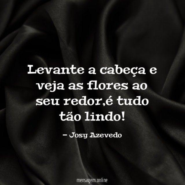 Levante a cabeça e veja as flores ao seu redor