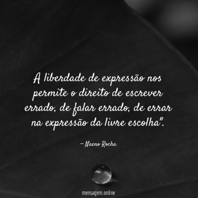 A liberdade de expressão nos permite o direito de escrever errado
