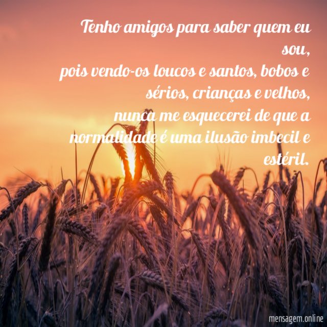 Tenho amigos para saber quem eu sou