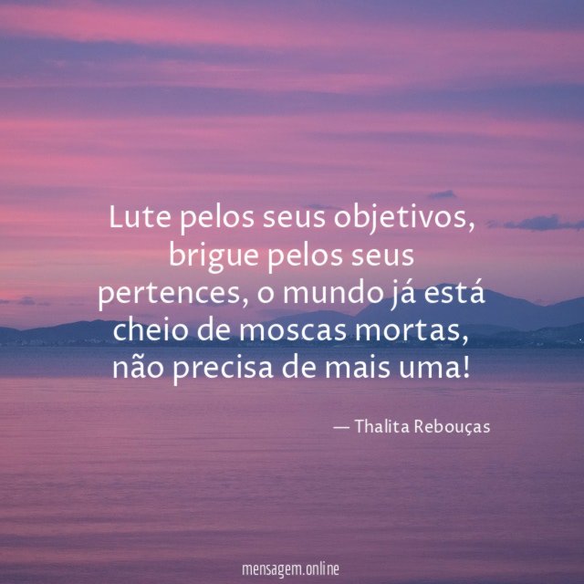 Lute pelos seus objetivos