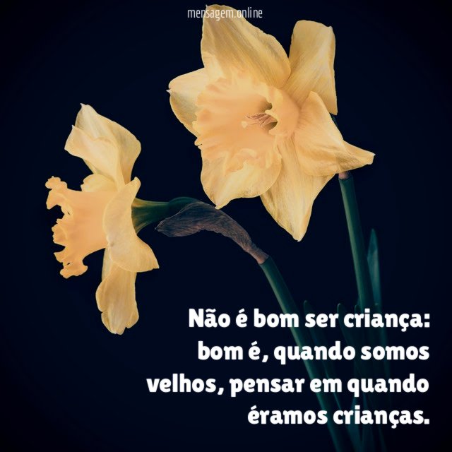 Não é bom ser criança
