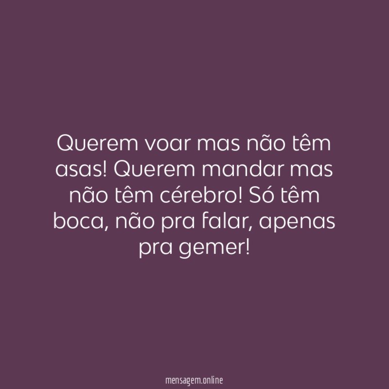 Querem voar mas não têm asas