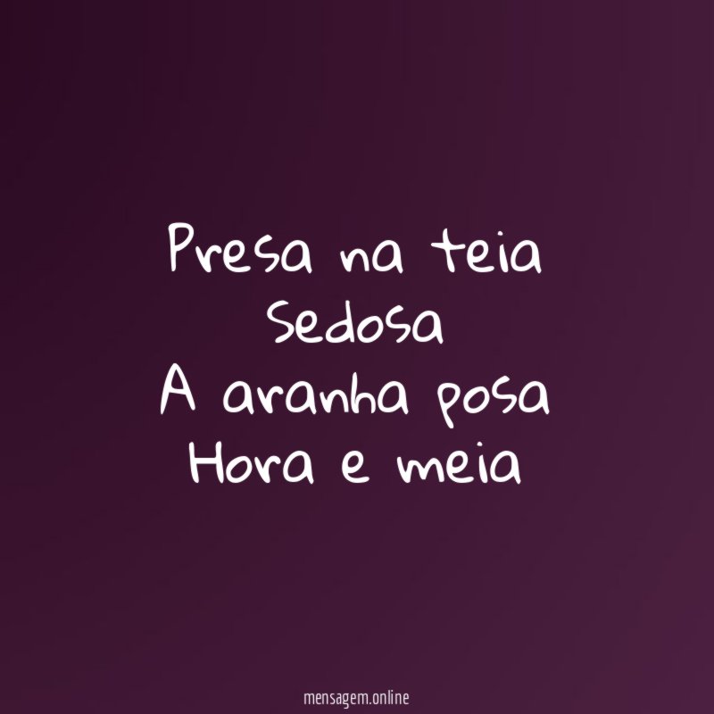 Presa na teia Sedosa A aranha posa Hora e meia
