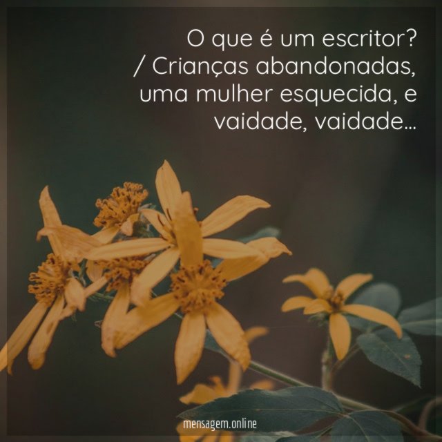 O que é um escritor