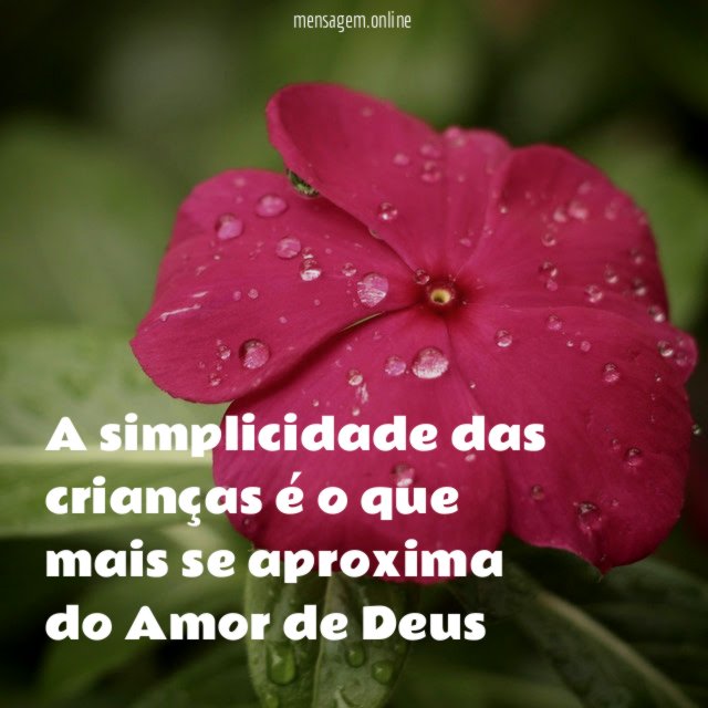 A simplicidade das crianças é o que mais