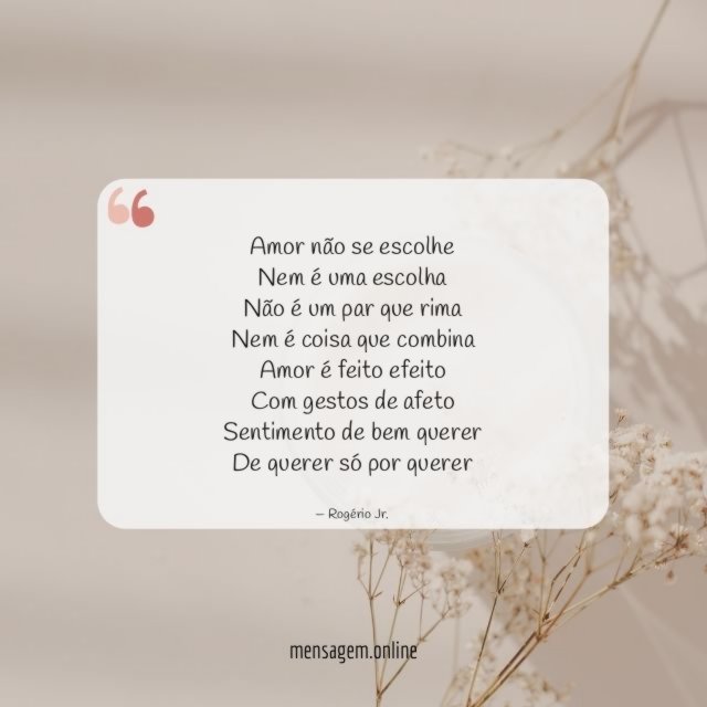 Amor não se escolhe
Nem é uma escolha
Não é um par que rima
Nem é coisa que combina