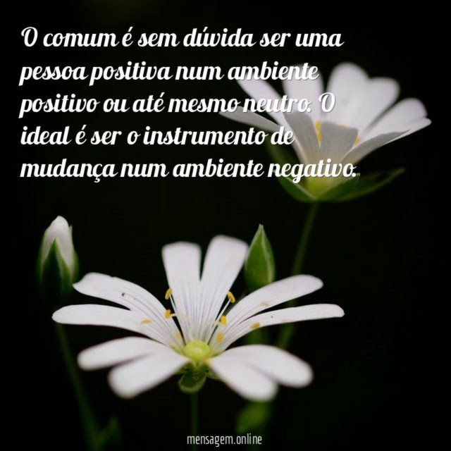 O comum é sem dúvida ser uma pessoa