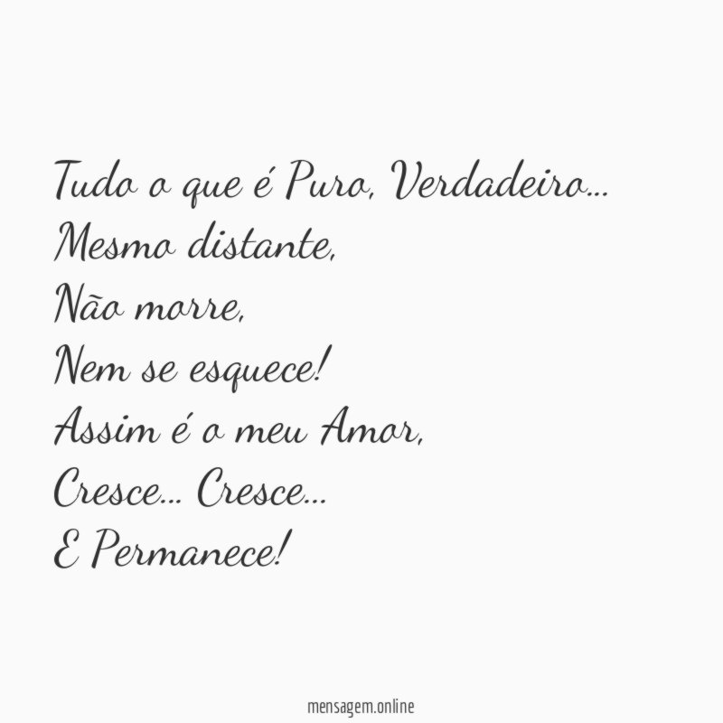Tudo o que é Puro