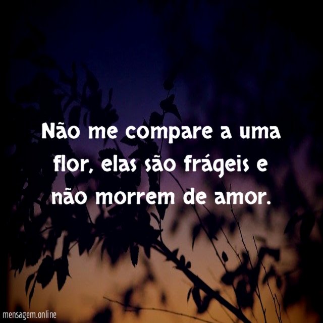 Não me compare a uma flor