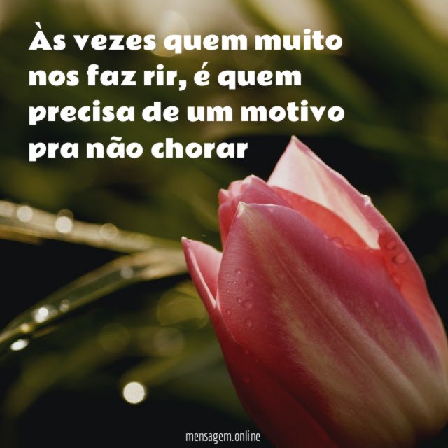 Às vezes quem muito nos faz rir