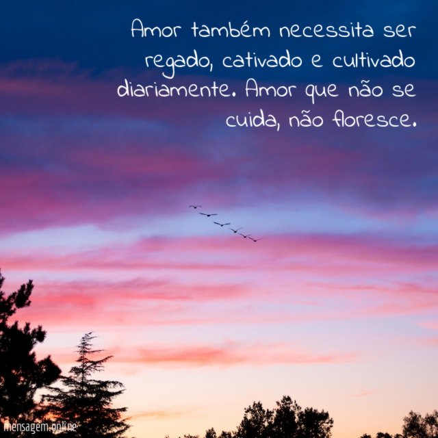 Amor também necessita ser regado
