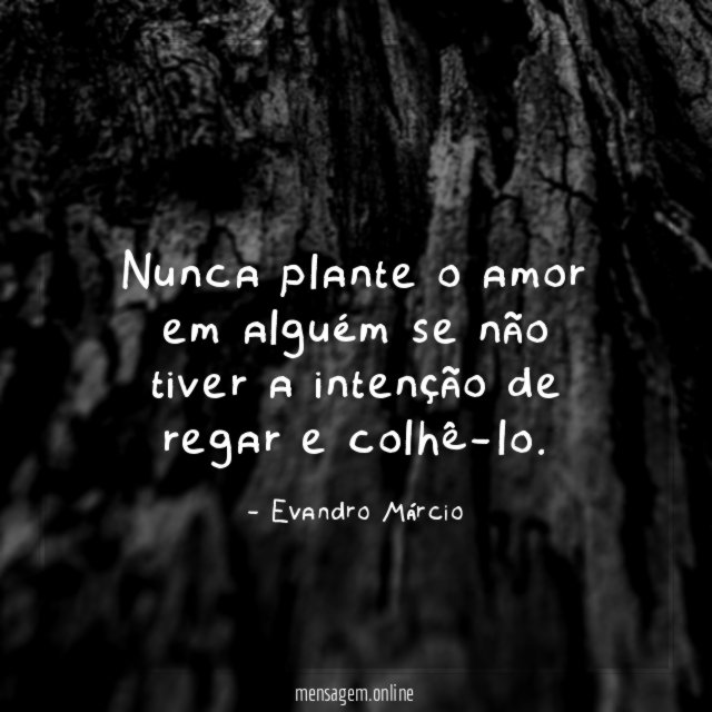 Nunca plante o amor em alguém se não