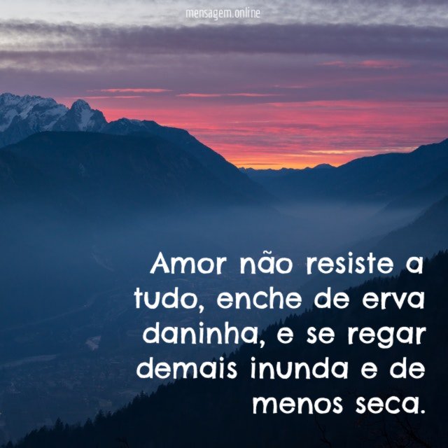 Amor não resiste a tudo
