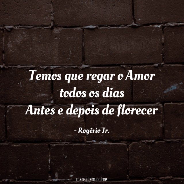 Temos que regar o Amor todos os dias Antes