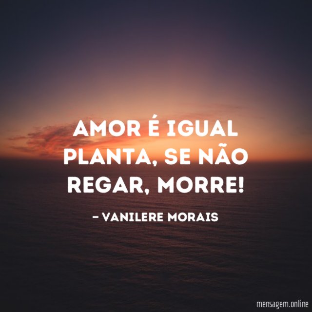 Amor é igual planta