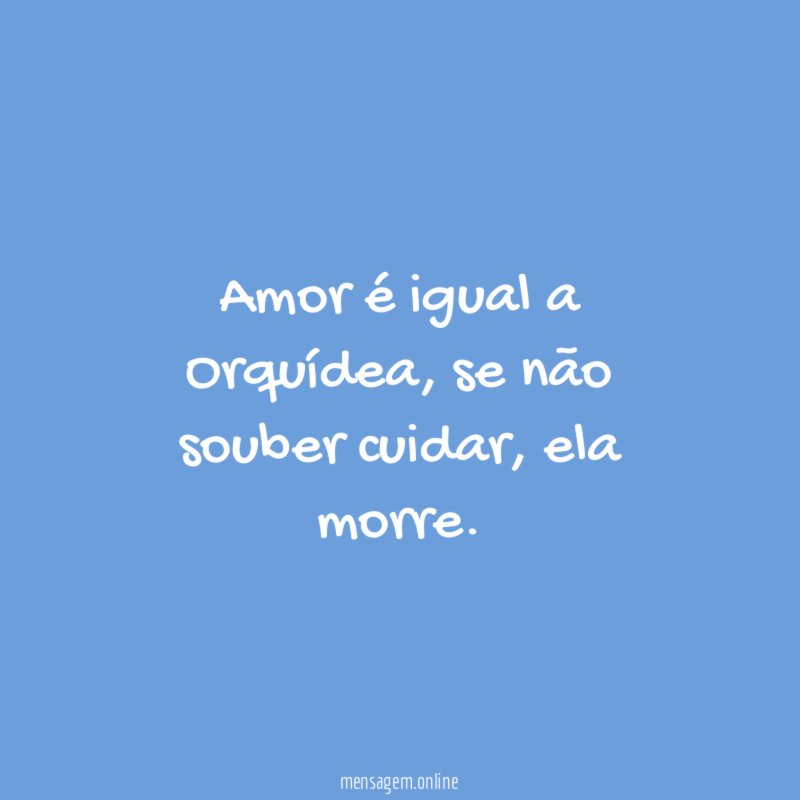 Amor é igual a Orquídea
