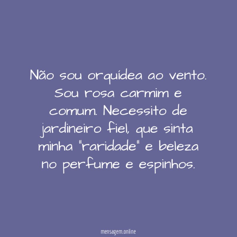 Não sou orquídea ao vento