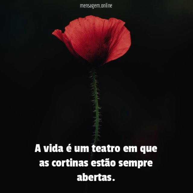 A vida é um teatro em que as cortinas estão sempre abertas