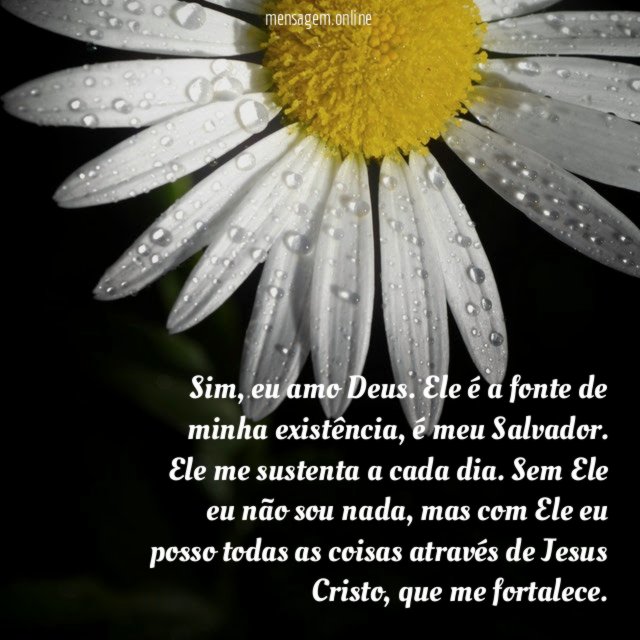 Sim