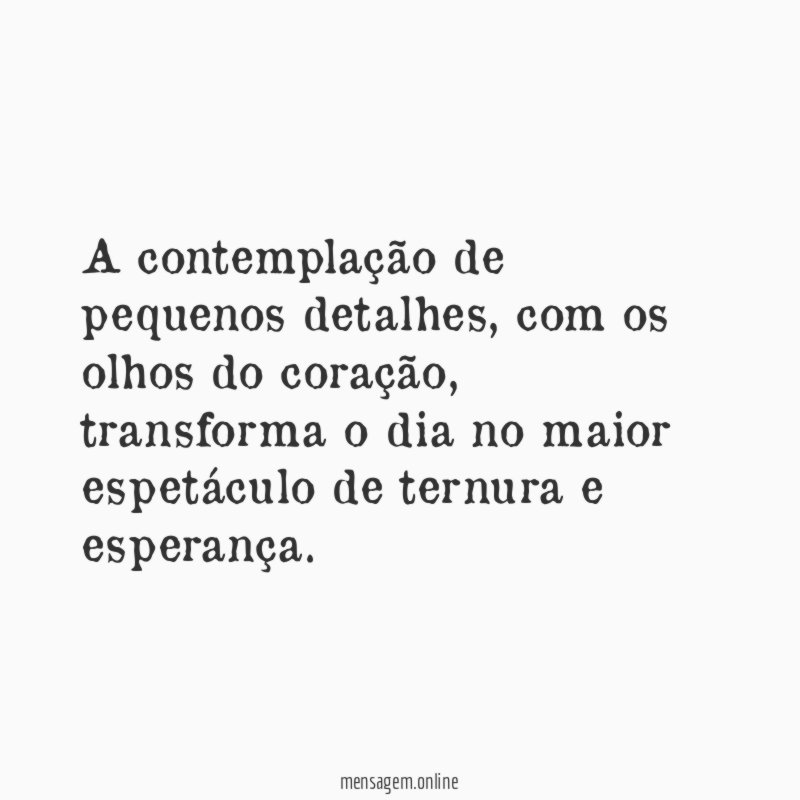A contemplação de pequenos detalhes