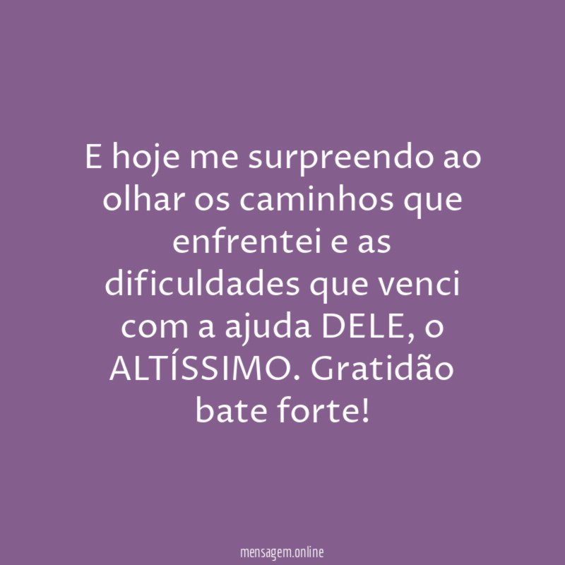 E hoje me surpreendo ao olhar os caminhos
