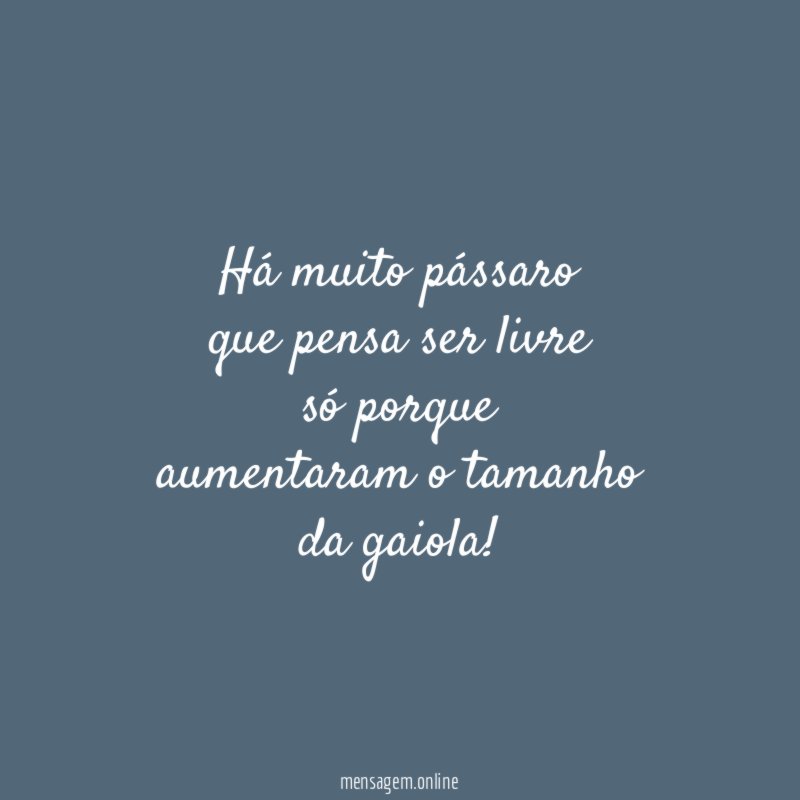 Há muito pássaro
que pensa ser livre
só porque
aumentaram o tamanho
da gaiola!