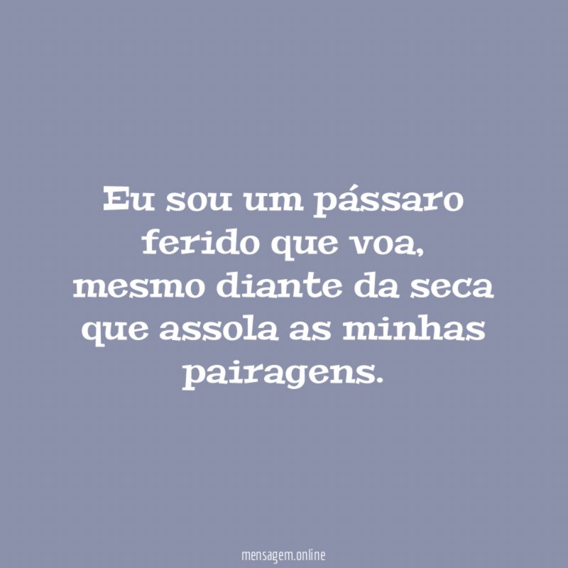 Eu sou um pássaro ferido que voa