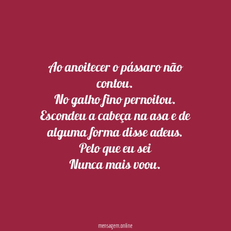 Ao anoitecer o pássaro não contou