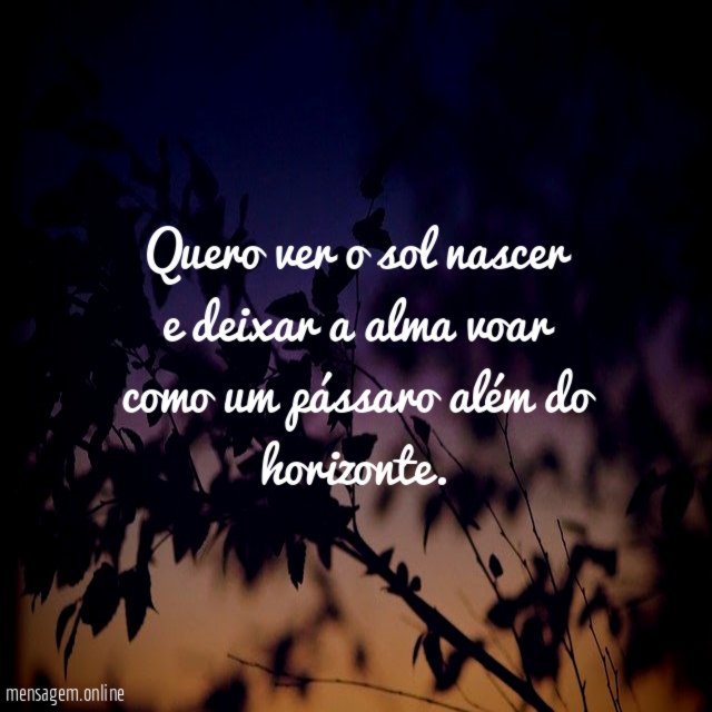 Quero ver o sol nascer e deixar a alma