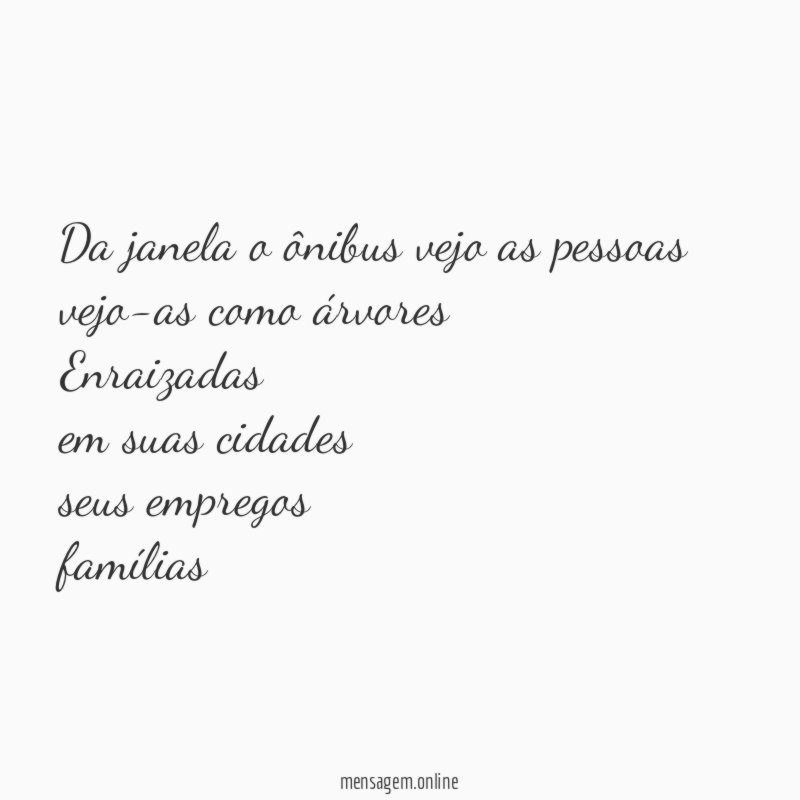 Da janela o ônibus vejo as pessoas vejo-as como