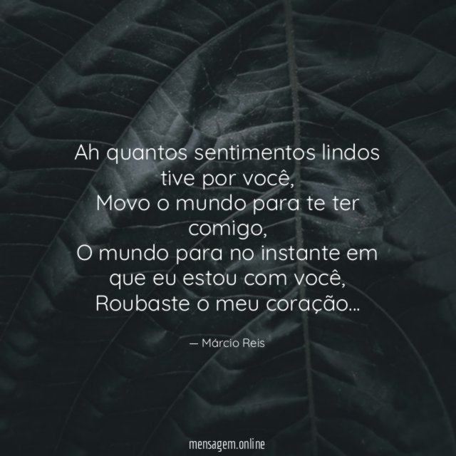 Ah quantos sentimentos lindos tive por você