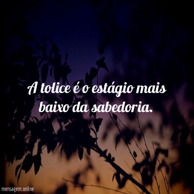 A tolice é o estágio mais baixo da sabedoria