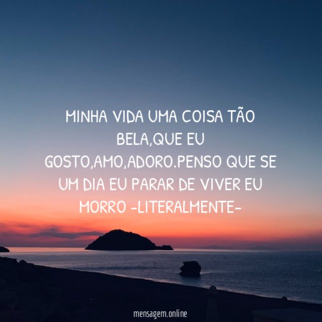 Minha vida uma coisa tão bela