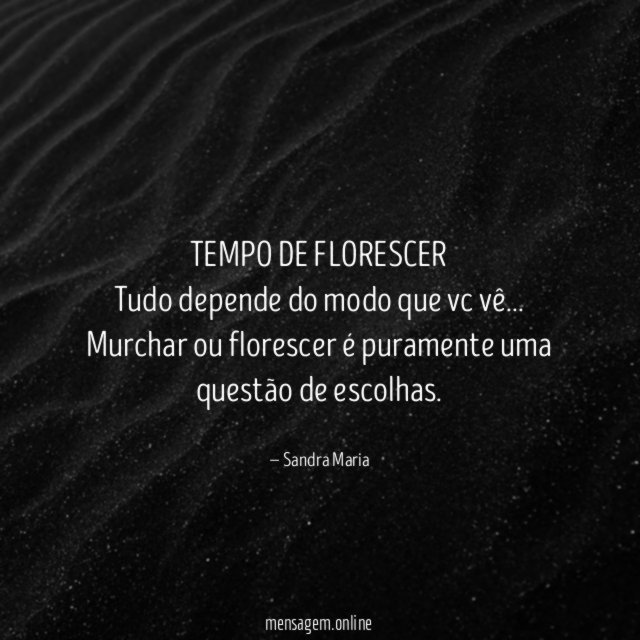 TEMPO DE FLORESCER Tudo depende do modo que vc vê