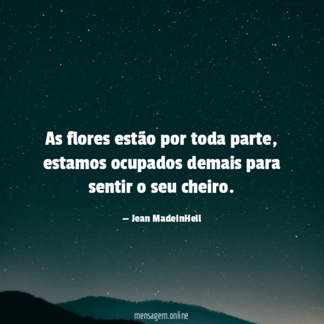 As flores estão por toda parte