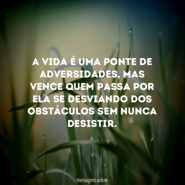 A vida é uma ponte de adversidades