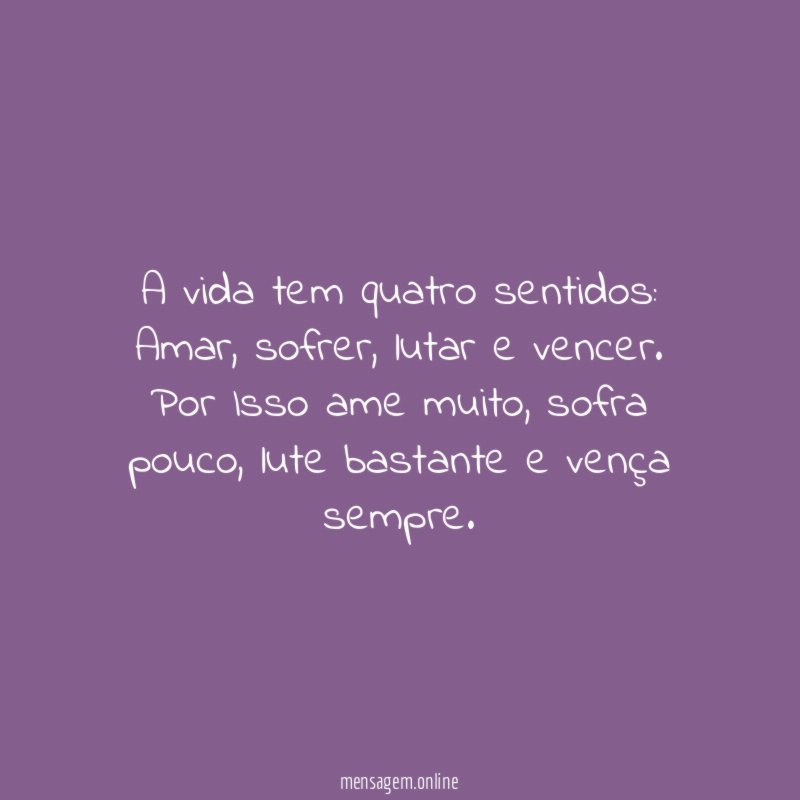 A vida tem quatro sentidos