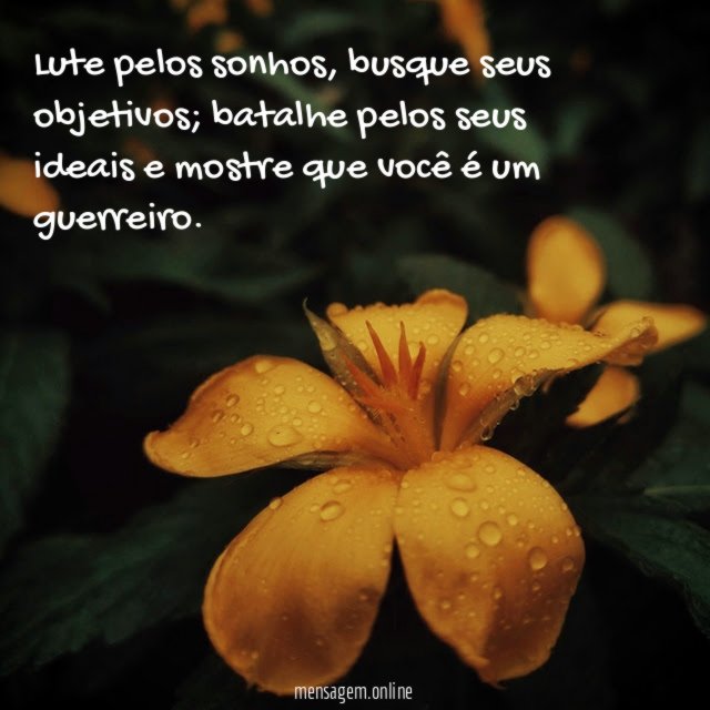Lute pelos sonhos